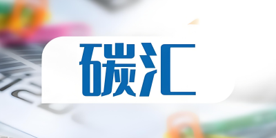 什么是碳匯？